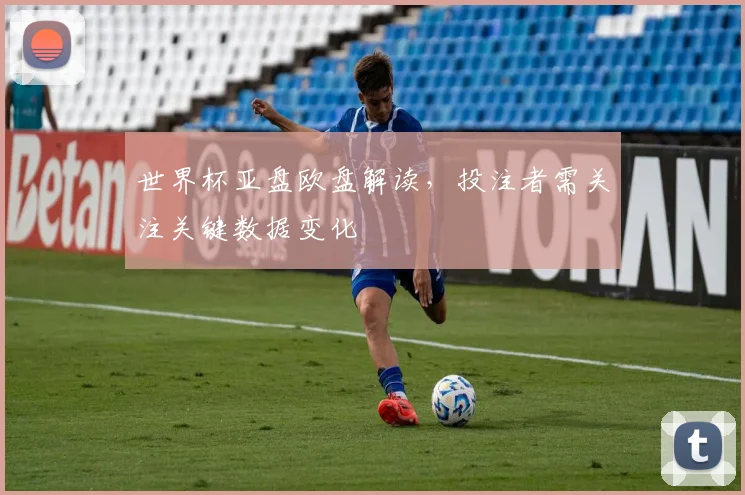 世界杯亚盘欧盘解读,投注者需关注关键数据变化
