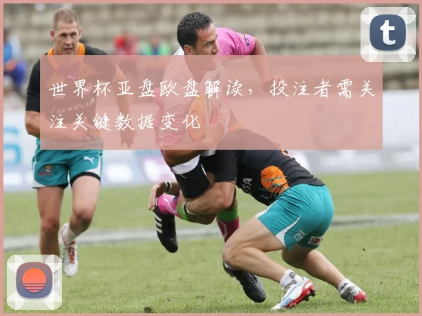世界杯亚盘欧盘解读,投注者需关注关键数据变化